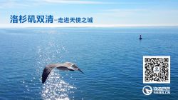 洛杉矶双清-走进天使之城