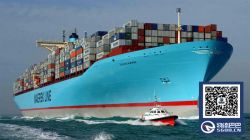 因港口堵塞严重，12月21日起马士基AE2及AE11航线将暂时停挂上海及赤湾