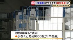 日本批发商将中国鳗鱼伪造成日本产-食品出口